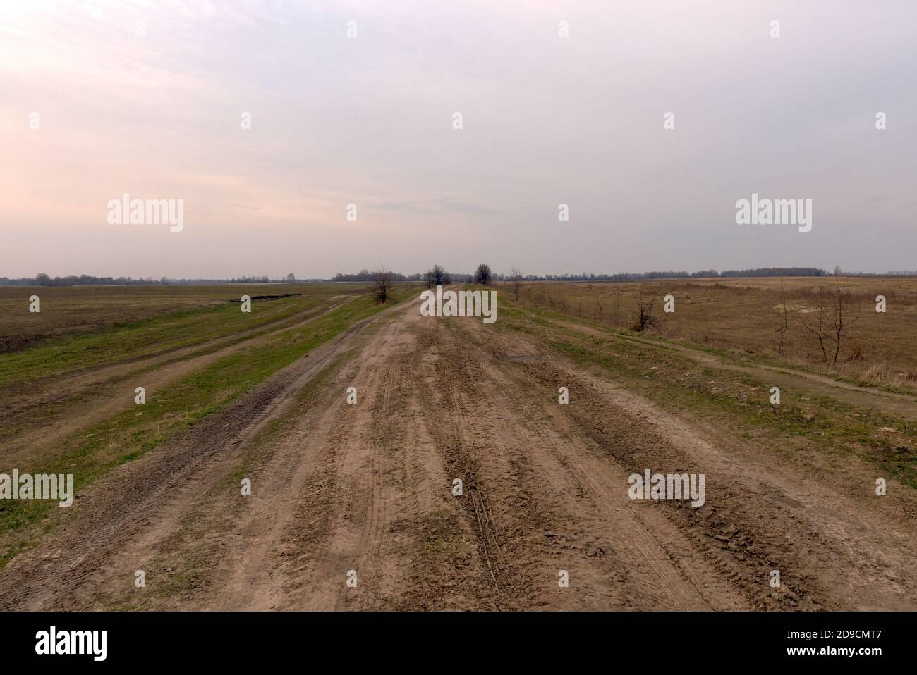 Feldweg zwischen Feldern an einem Frühlingsabend. Stockfoto