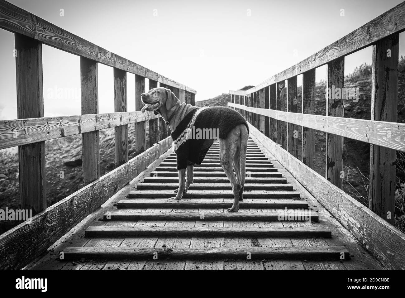 Beauty Makeup Stockfoto