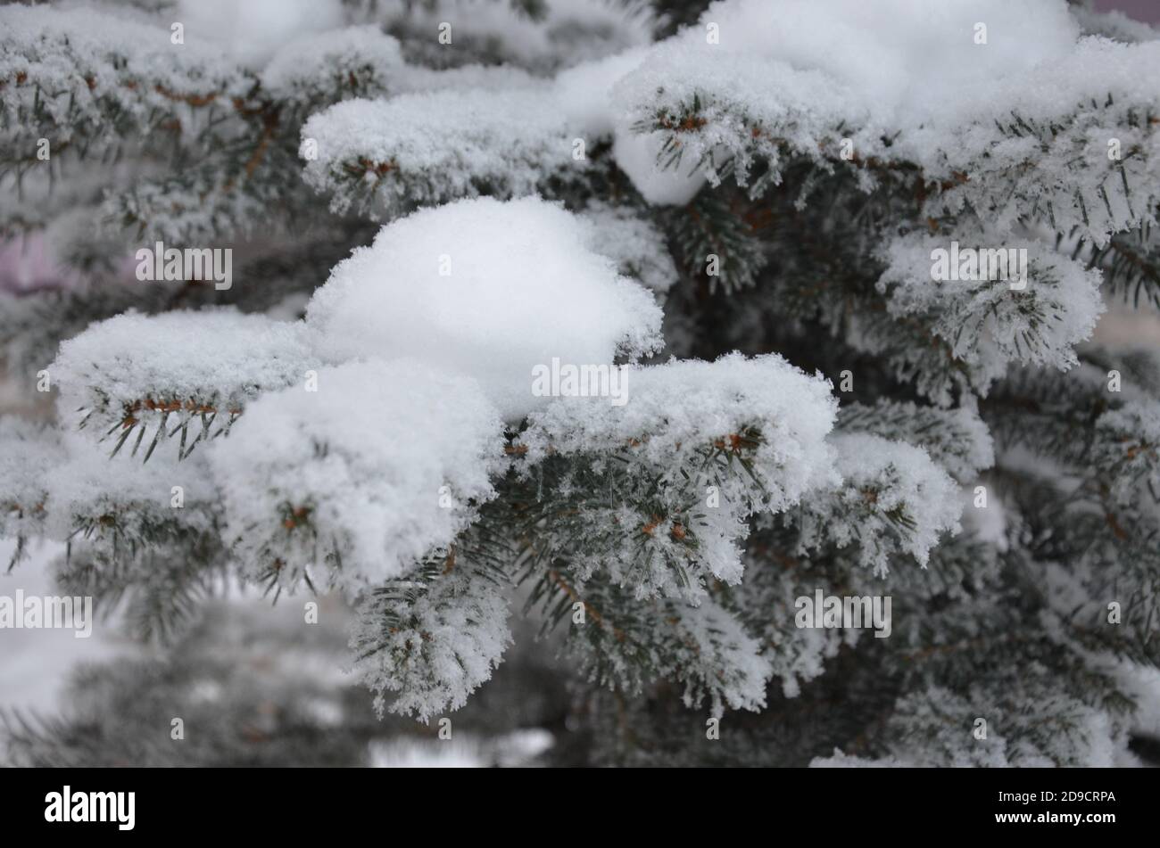 Nahaufnahme von Weihnachtsbaum, Schneeflocke. Weihnachten und Neujahr Urlaub Hintergrund. Vintage Farbe Ton. Stockfoto