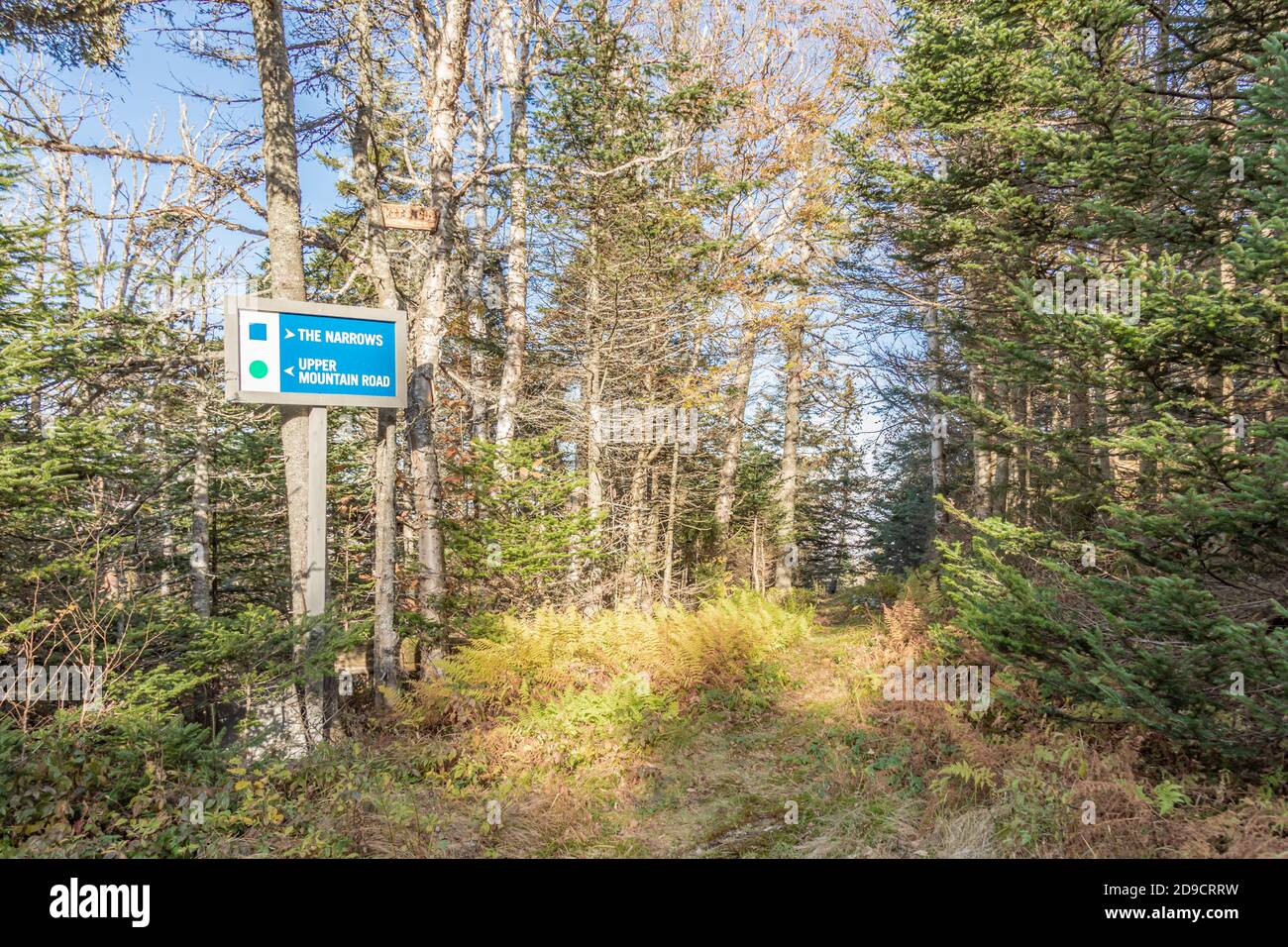 Schild für Skifahrer im Herbst im Okemo Mountain Resort, Ludow, Vermont Stockfoto