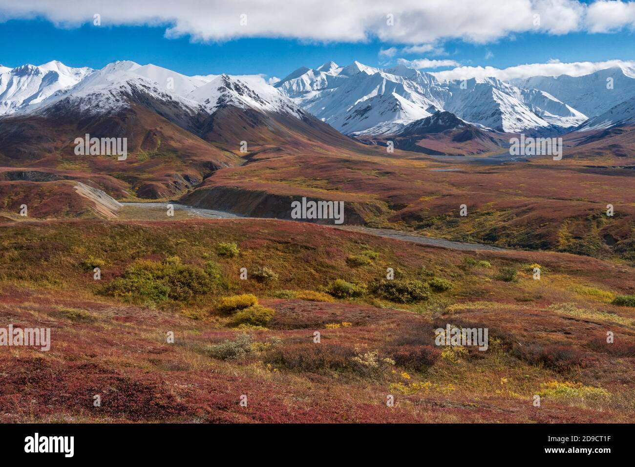 Nordamerika; Usa; Alaska; Alaska Range Mountains; Denali National Park; Thorofare Pass; Herbstfarben Stockfoto