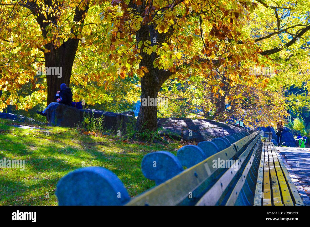 Herbstlaub im Central Park in New York City am 4. November 2020. Stockfoto