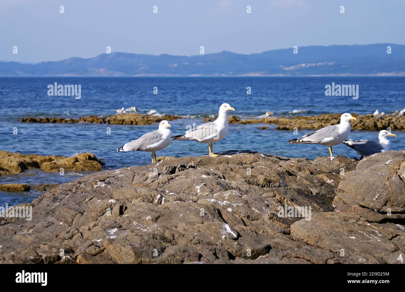 Islas Ons in Galicien Spanien Stockfoto