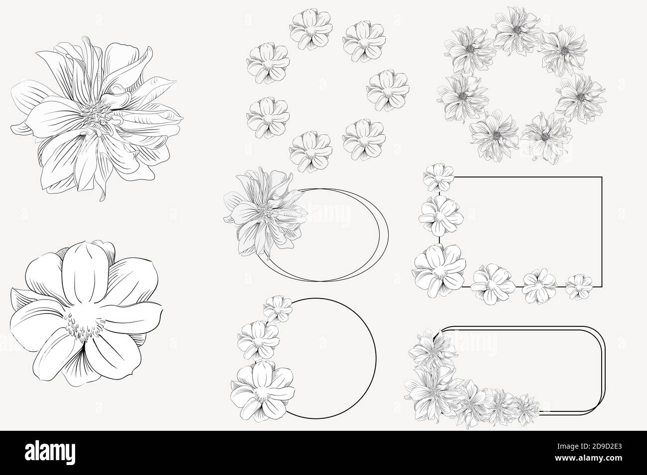 vektor-Blumen-Set mit Blumen, Rahmen. Stock Vektor