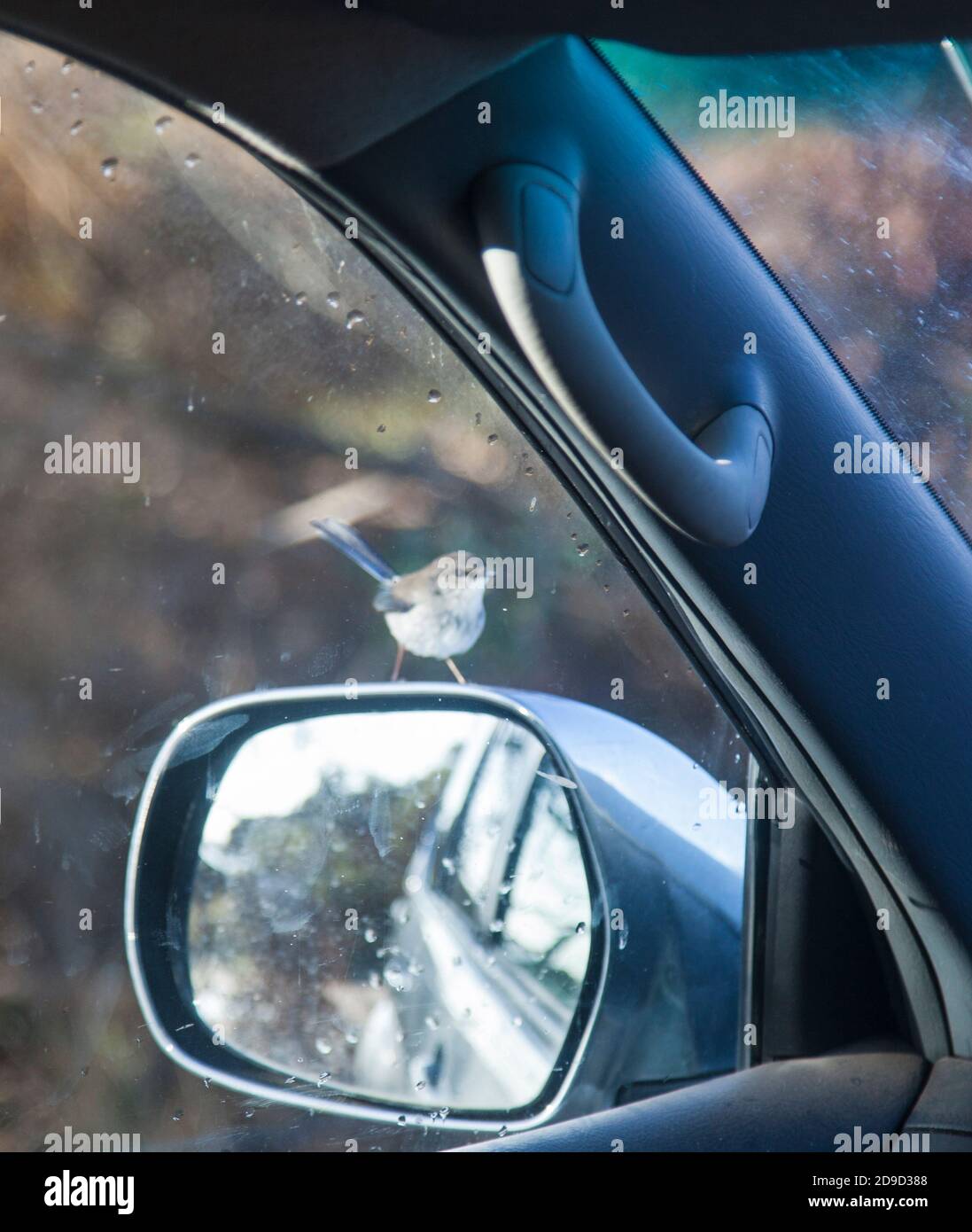 Seitenspiegel auf einem blauen auto mit regentropfen