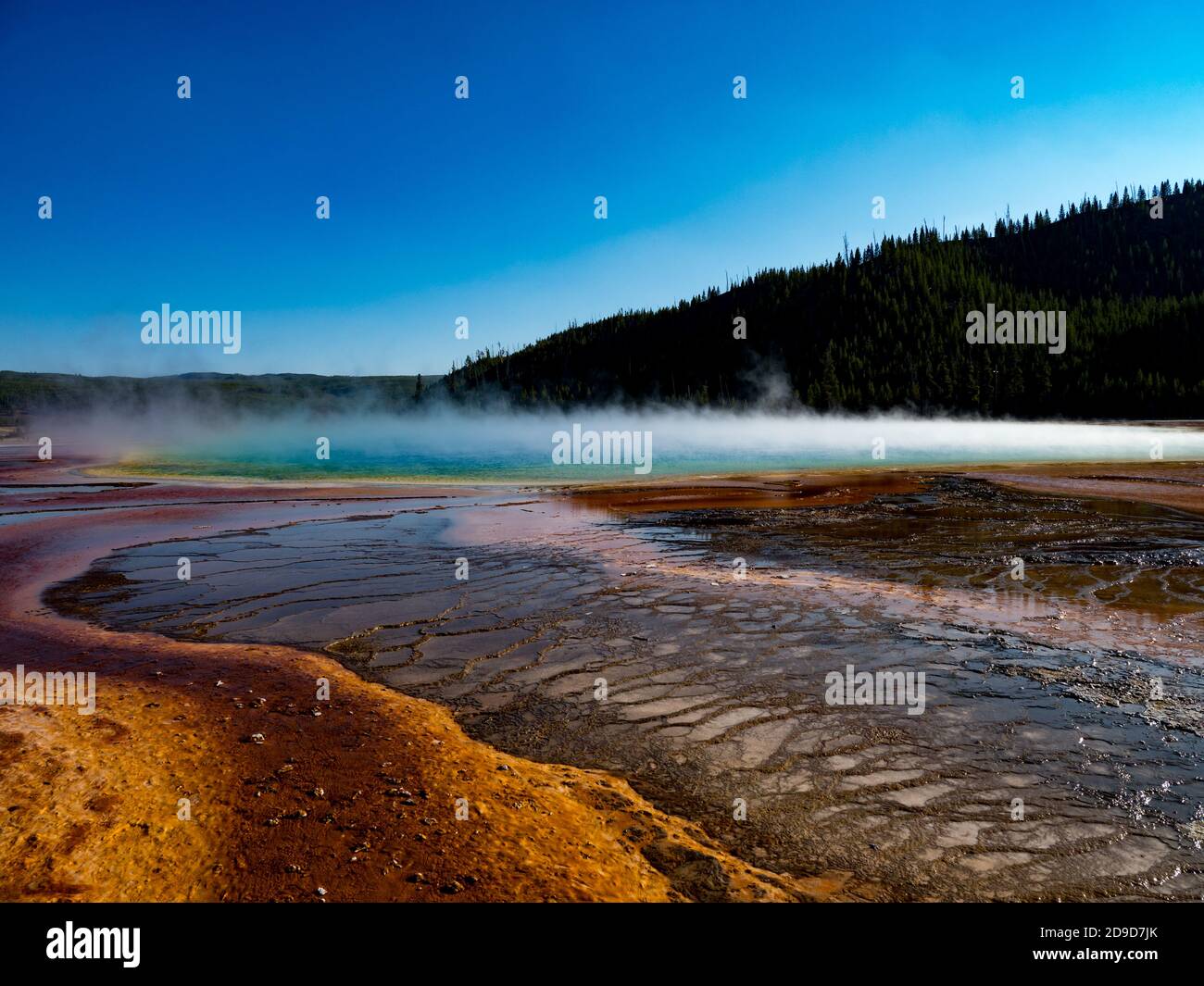 Grand Prismatic Spring, die größte heiße Quelle der USA und eine geothermische Attraktion im Yellowstone National Park, USA Stockfoto