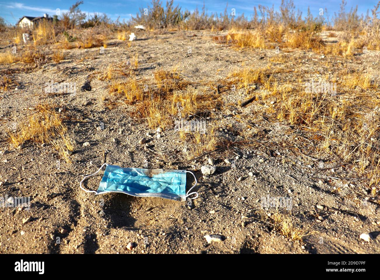 Schmutzige Maske in Wüstenlandschaft an einem sonnigen Tag umgeben Durch trockenes Unkraut Stockfoto