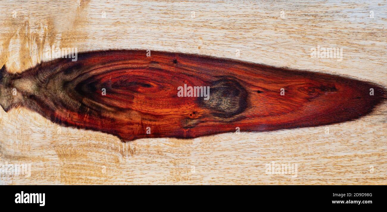 Natur Rosenholz für Bilder oder Hintergrund Stockfoto