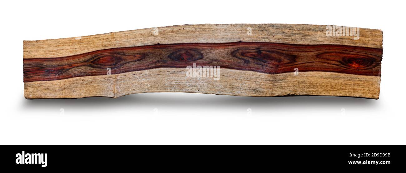 Natur Siam Rosenholz auf weißem Hintergrund mit Clipping Pfad Stockfoto