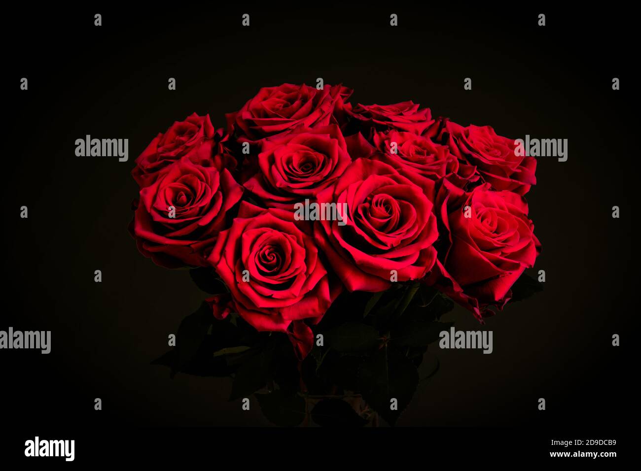 Bouquet von roten Rosen auf schwarzem Hintergrund. Valentinstag Blumen. Stockfoto