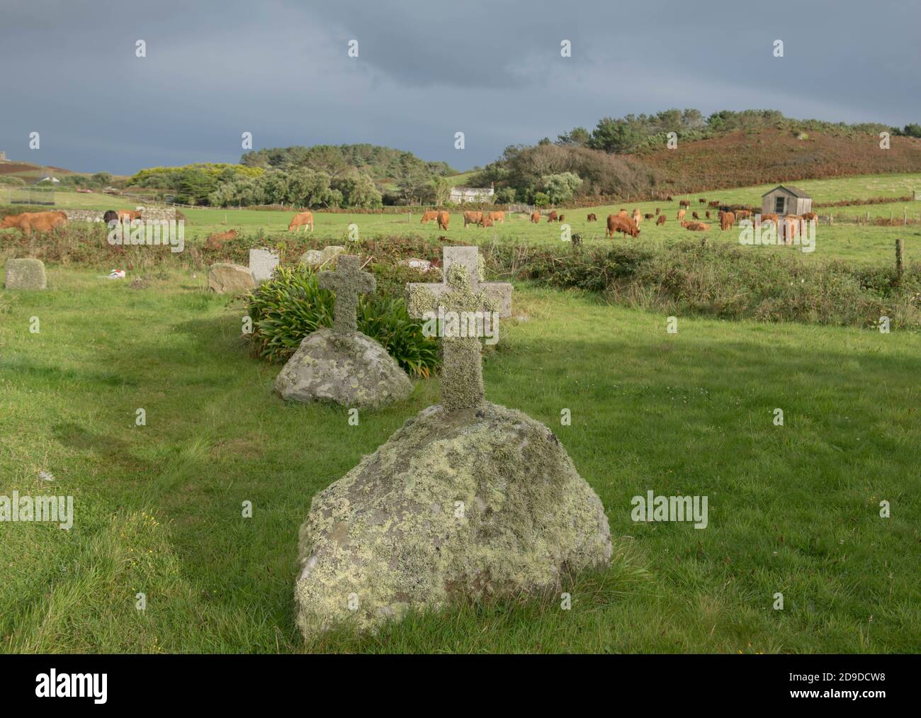 Altes Granite Grabstein Kreuz bedeckt mit Moos und Flechten in Der Friedhof der Nikolaikirche auf der Insel Tresco auf den Scilly-Inseln Stockfoto