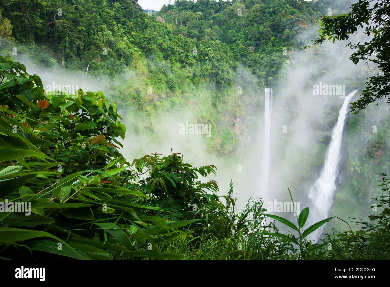 Landschaft TAD Fane Wasserfälle im Morgennebel, magische Zwillingsfälle in der Regenzeit, touristische Attraktionen in Süd-Laos. Stockfoto