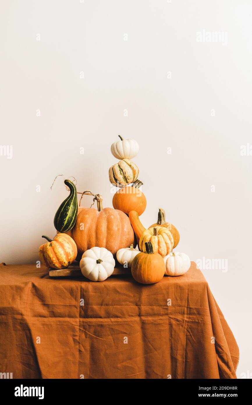 Kürbisse für Halloween oder Thanksgiving Tag Herbstferien Dekoration. Bunte Kürbisse in verschiedenen Formen und Größen in Pyramidenkomposition auf dem Tisch, weiße Wand im Hintergrund. Saisonales Herbstfutter Stockfoto