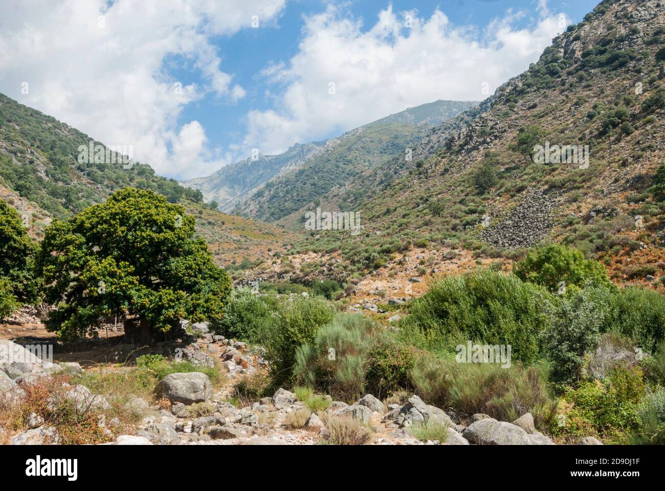 Bergvegetation Wolken und blauer Himmel Stockfoto