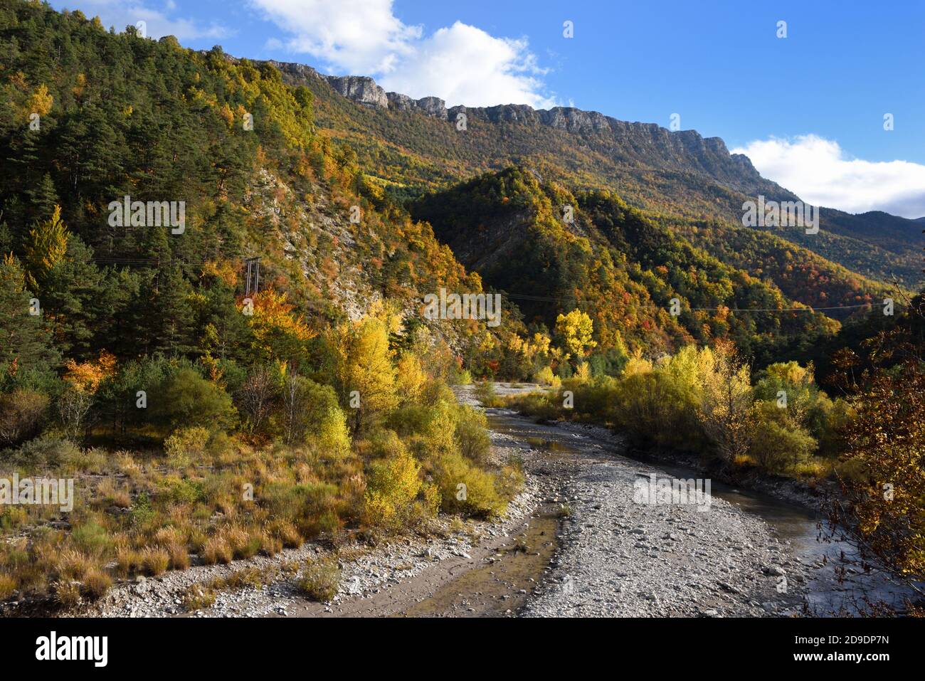 Herbstfarben im Tal des Flusses Asse de Blieux in Der Regionalpark Verdon Gorge oder das Naturschutzgebiet Alpes-de-Haute-Provence Frankreich Stockfoto