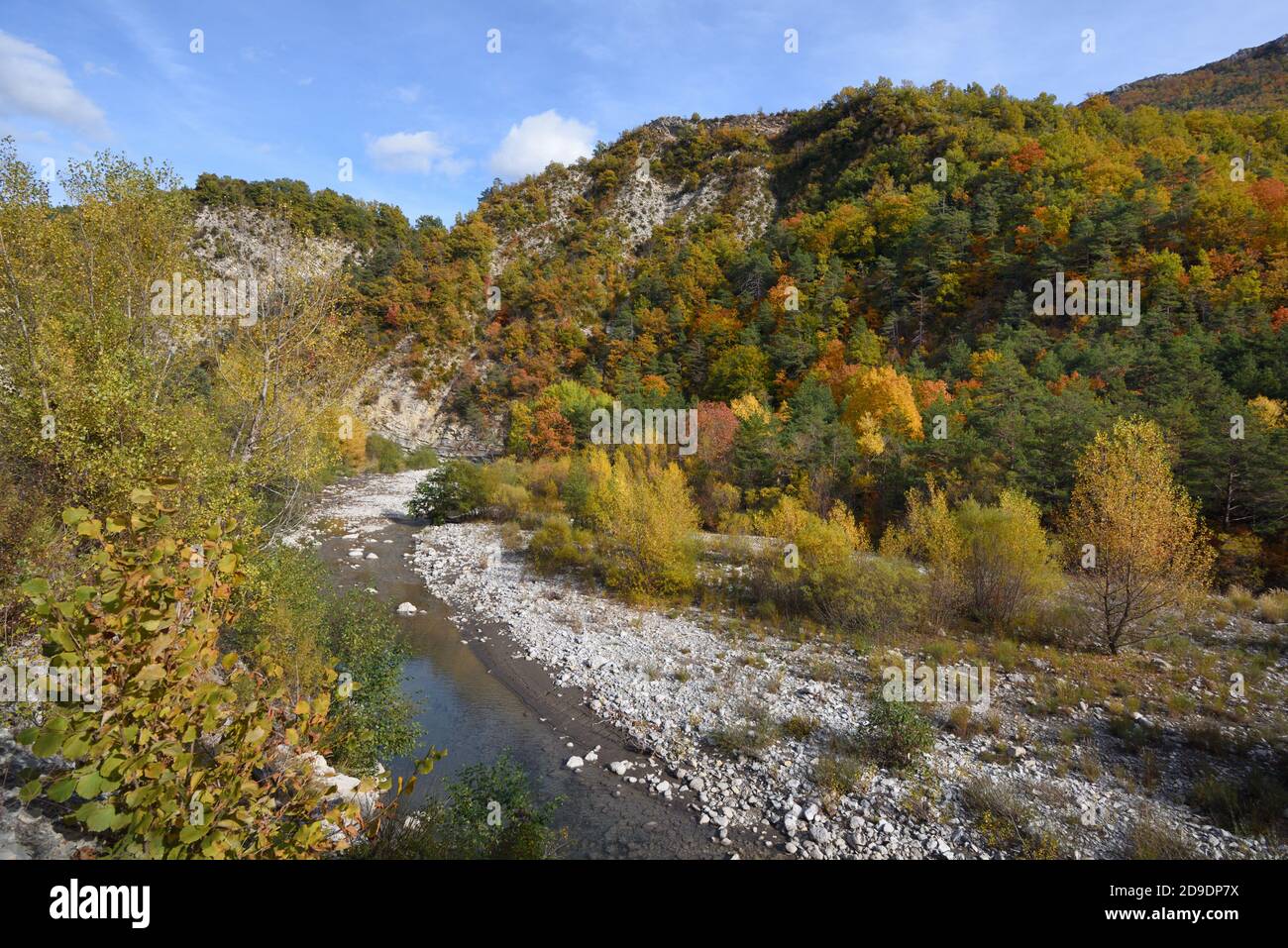 Herbstfarben im Tal des Flusses Asse de Blieux in Der Regionalpark Verdon Gorge oder das Naturschutzgebiet Alpes-de-Haute-Provence Frankreich Stockfoto