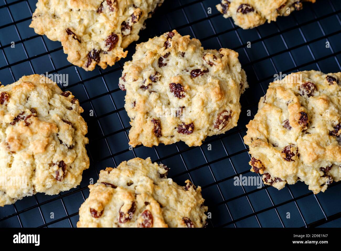 Eine frisch gebackene Charge traditioneller Rock Cakes, oder Rock Buns, auf einem Kühlregal. Die leckeren Kuchen sind gefüllt mit Sultaninen und Rosinen Stockfoto