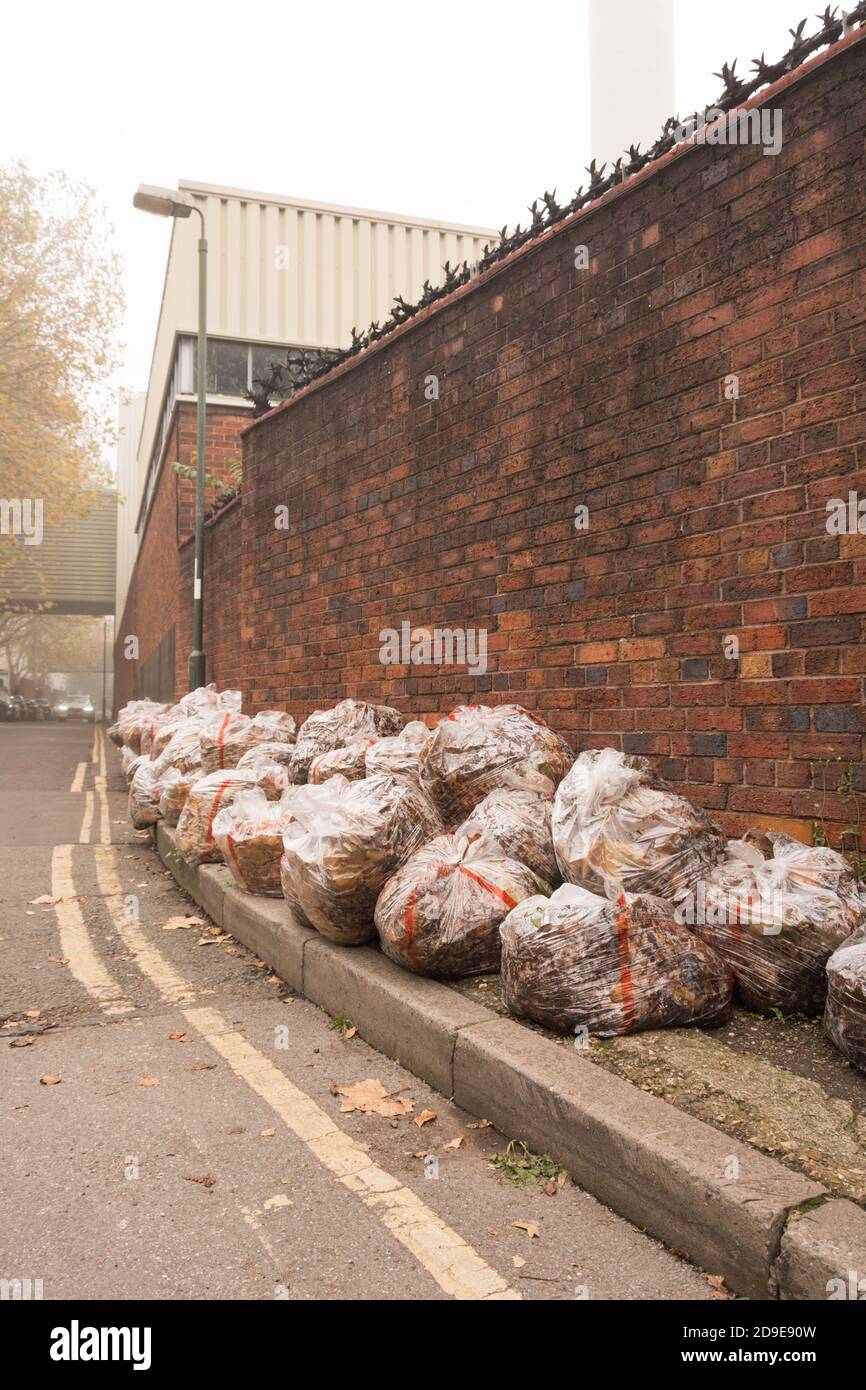 Die Absurdität der Plastiktüten gefüllt mit Herbst gefallen Blätter Stockfoto