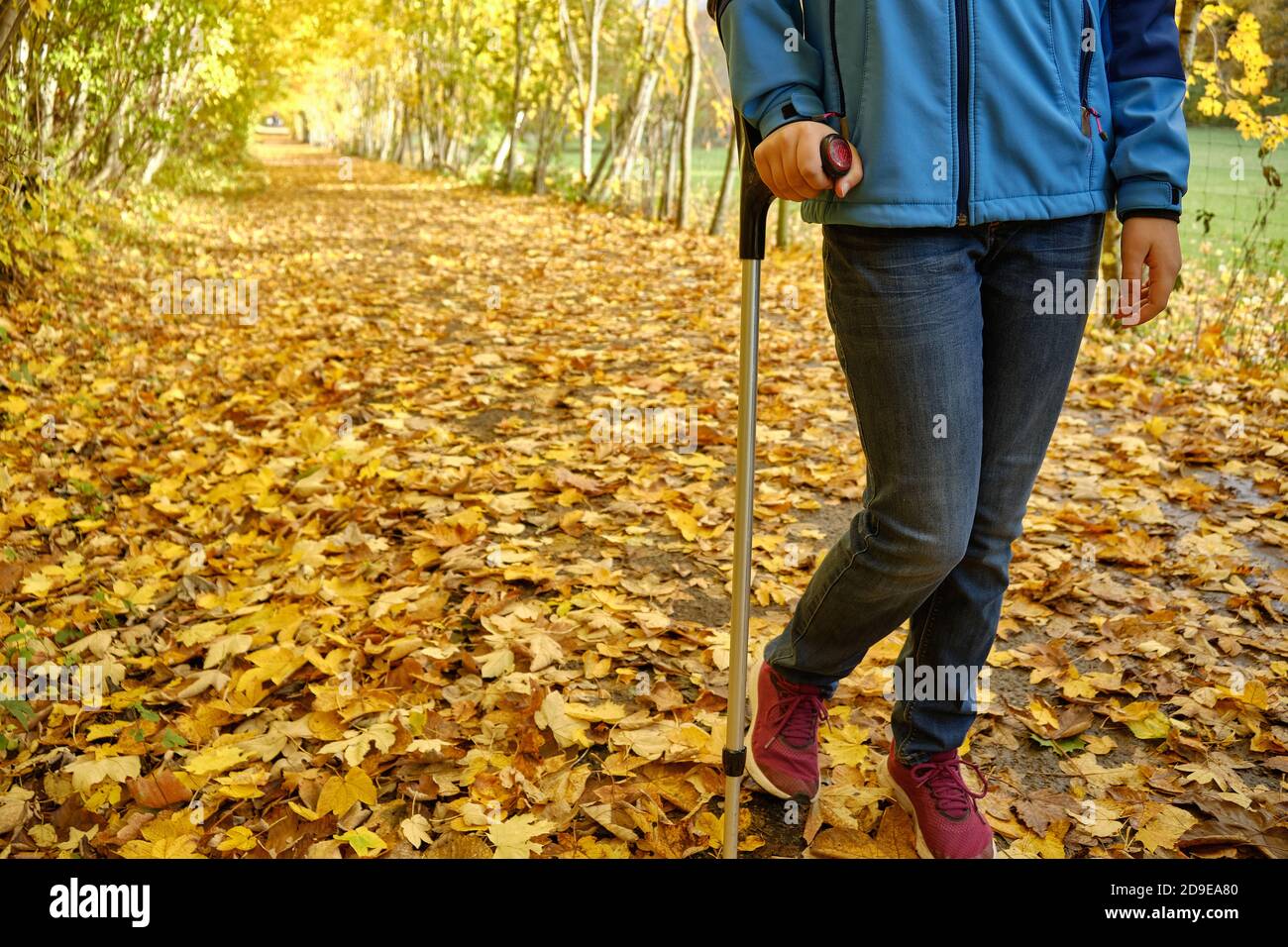 Junge Teenager-Mädchen mit einer Krücke geht durch farbige fallen Blätter im Herbst, ein. Stockfoto