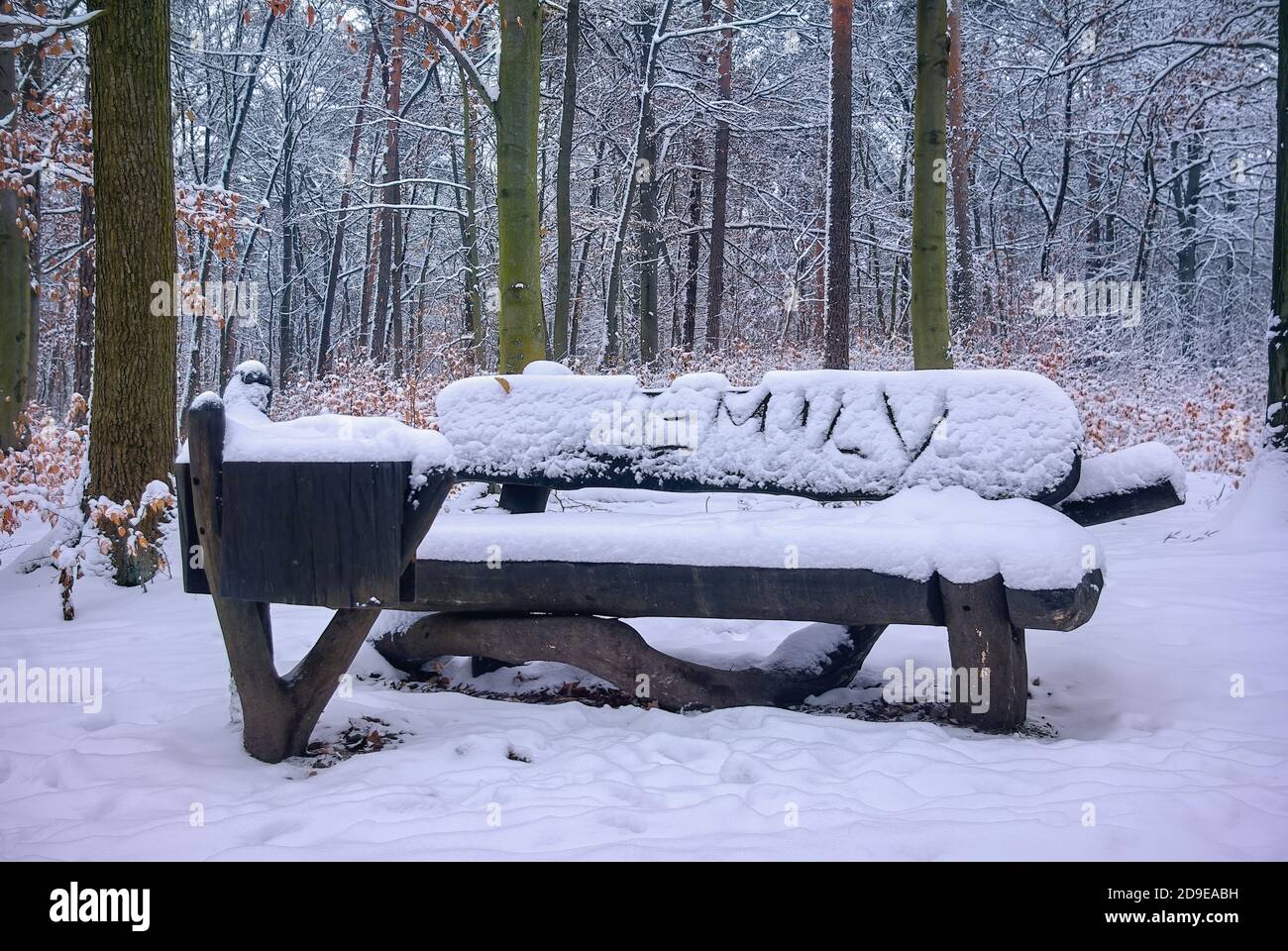 Jemand muss in Emily verliebt sein und hat ihren Namen im Winter auf einer Bank im Wald im Schnee geschrieben. Stockfoto