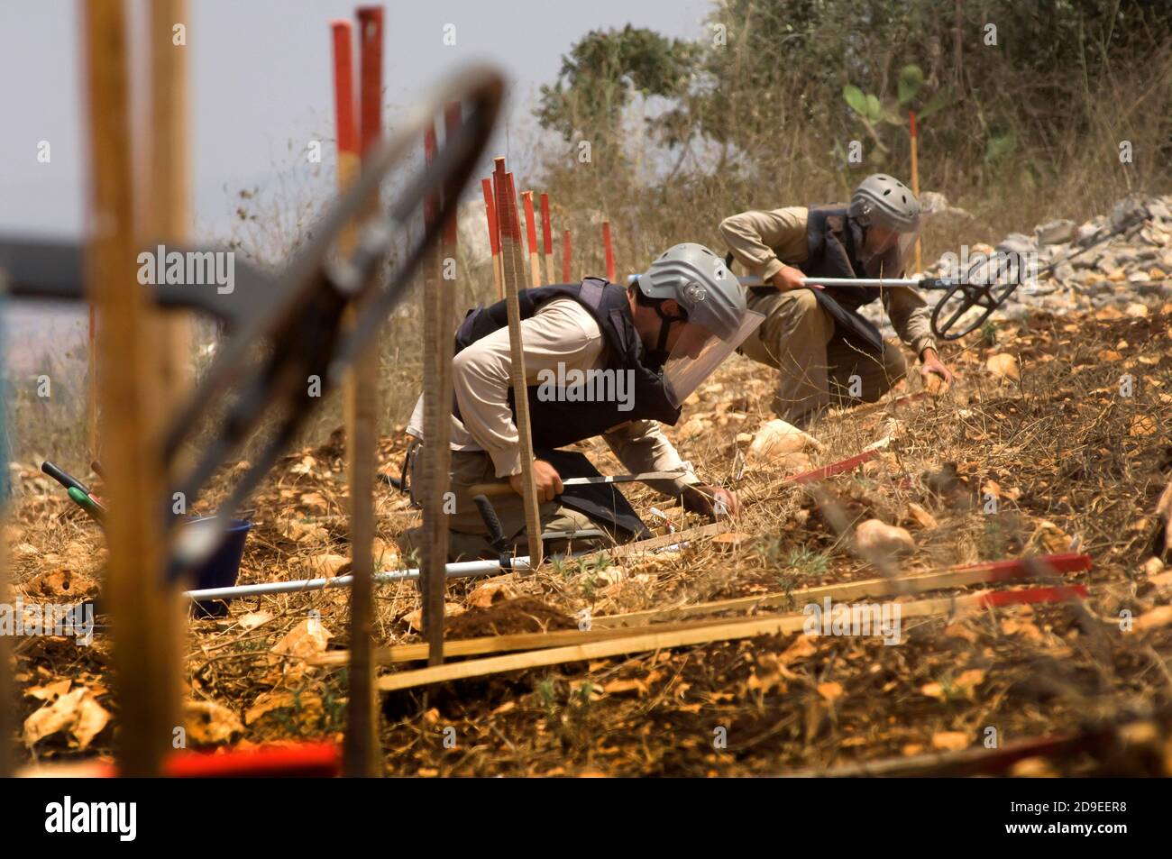 Tire, Libanon. 15. Juli 2010 EIN Team der Mines Advisory Group (mag) räumt nicht explodierte Streumunition auf dem Ackerland im südlichen Libanon auf. Stockfoto