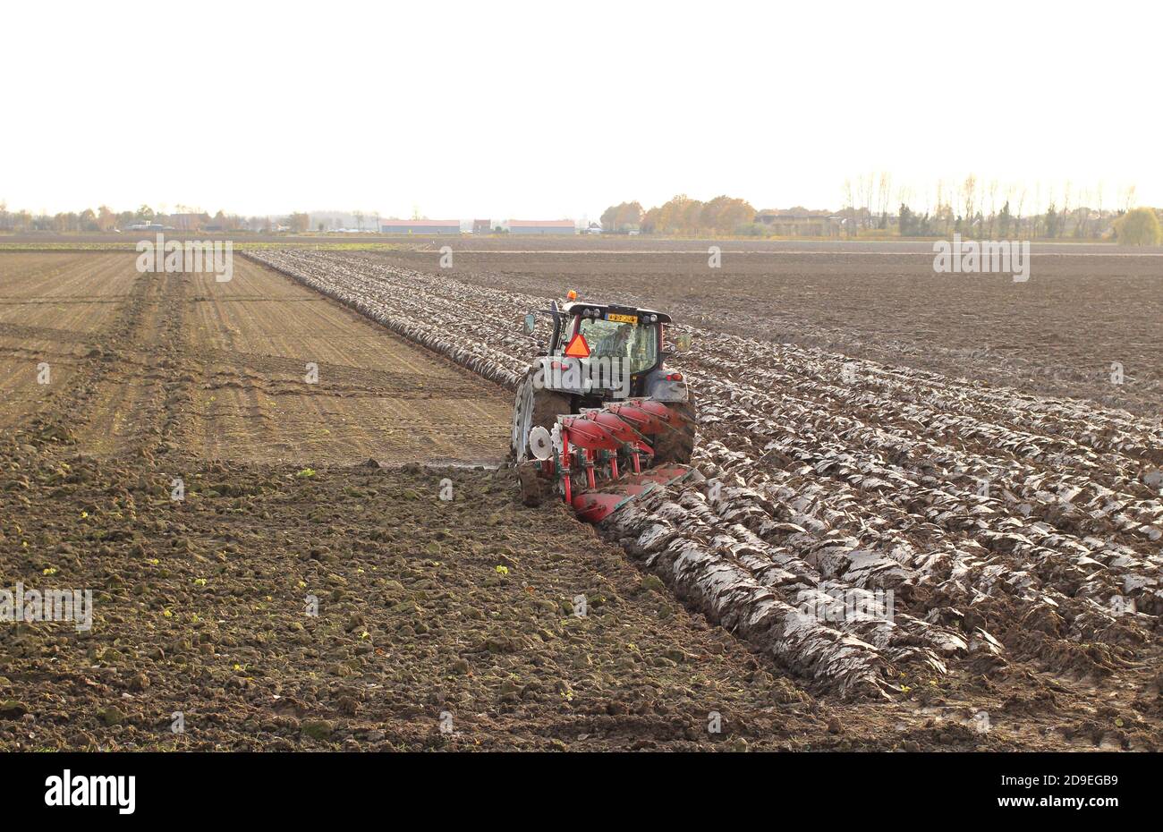 Ein Traktor mit Pflug pflügt den schweren Ton Boden in den holländischen Feldern in zeeland in A Kalter nebliger Tag im Winter Stockfoto