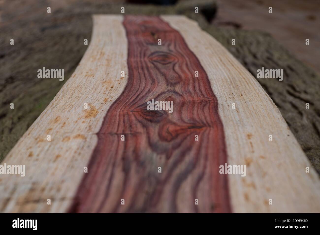 Naturholzmöbel aus Rosenholz Stockfoto