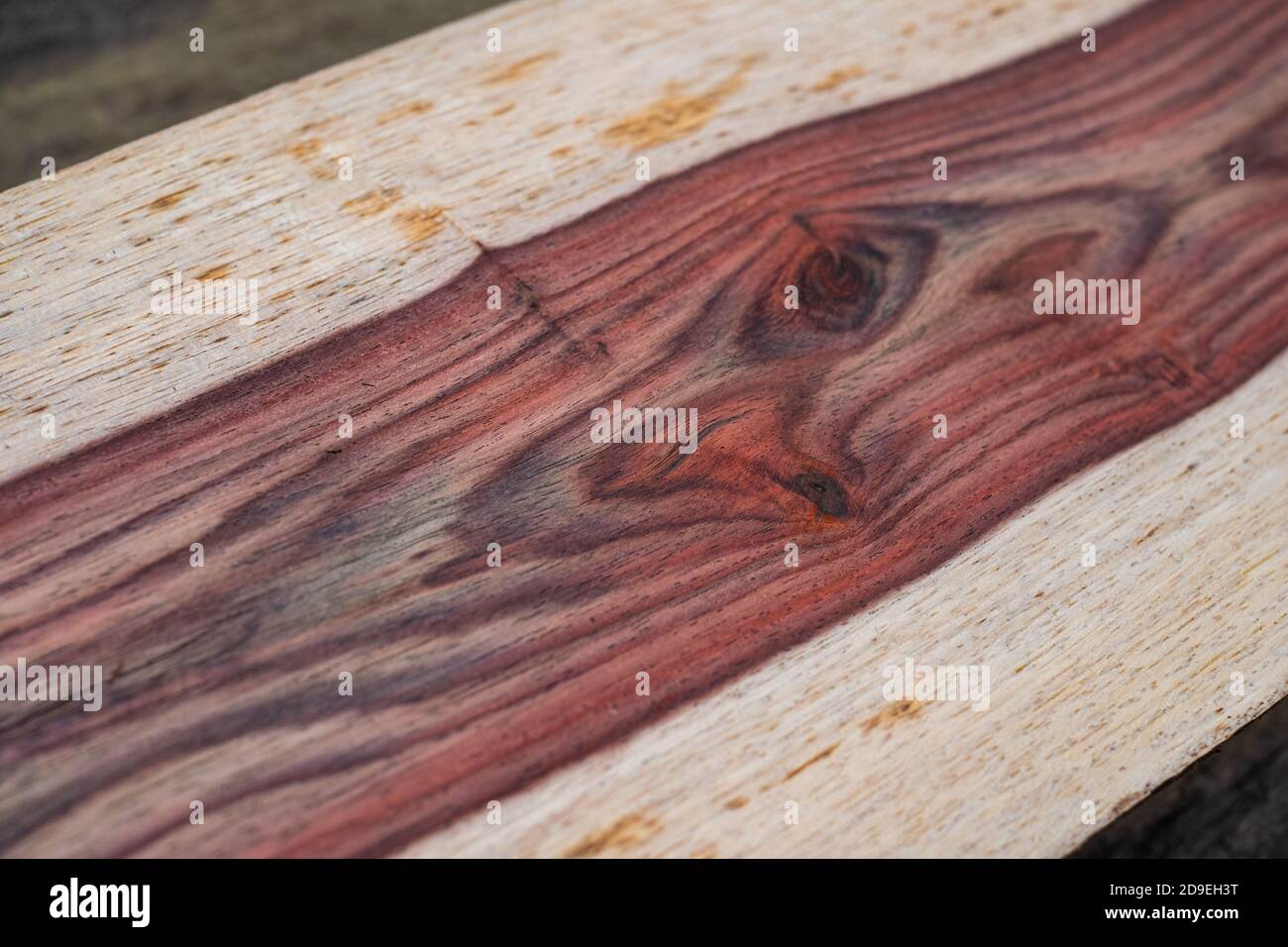 Naturholzmöbel aus Rosenholz Stockfoto