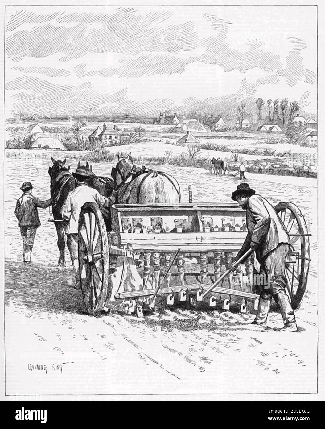 BOHREN GERSTENSAAT IM JAHR 1886 Stockfoto