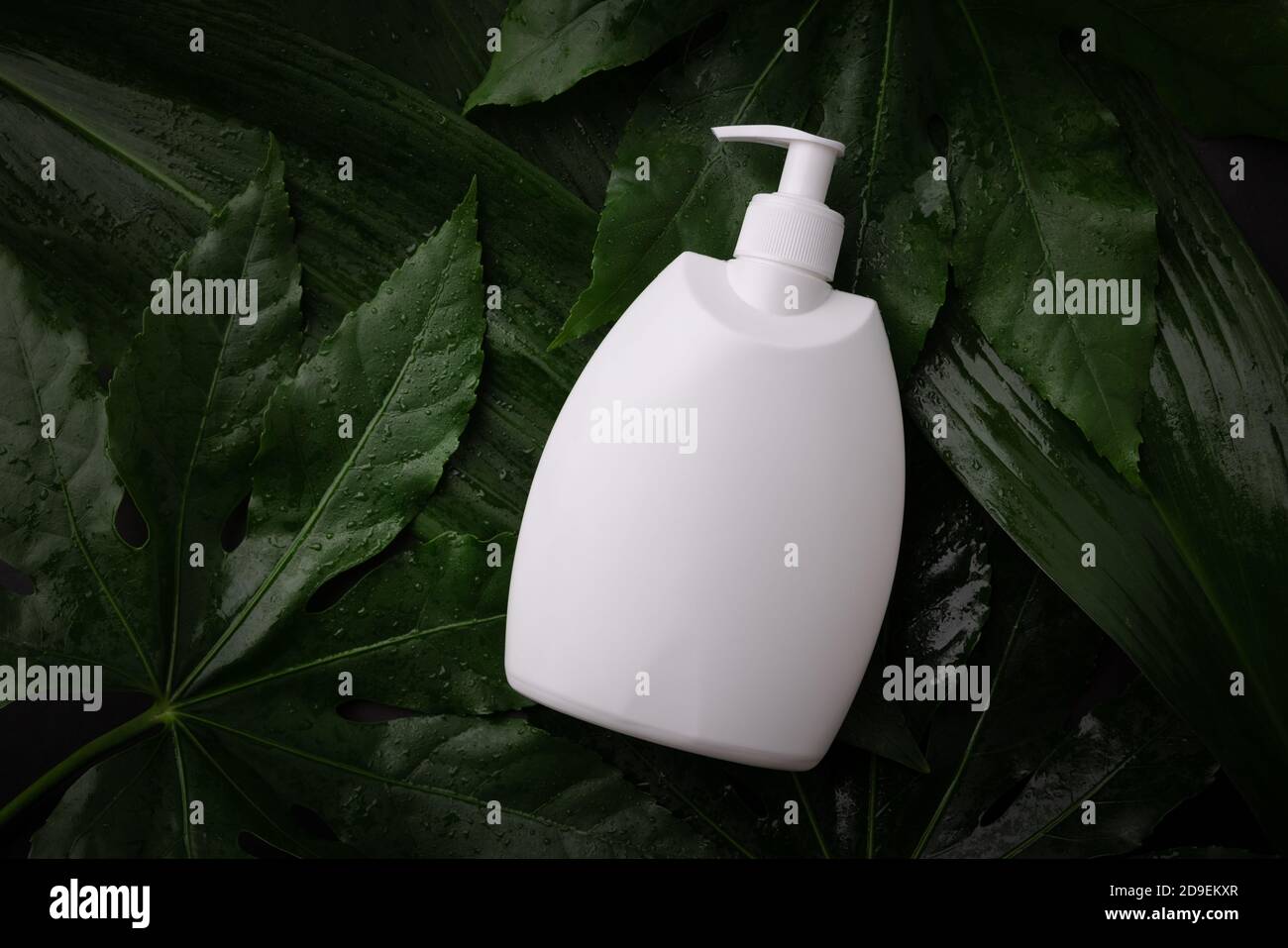 Leere weiße Bodylotion Pumpflasche auf nassen grünen Blättern. Draufsicht Kopierraum Stockfoto