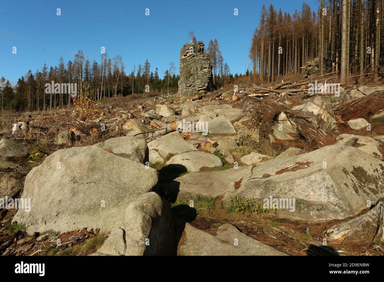 Wernigerode, Deutschland. November 2020. Seit einiger Zeit gibt es in Schierke einen freien Blick auf die berühmten Schierker Feuersteinklippen. Aufgrund des massiven Waldausfälles mussten in diesem Jahr große Waldflächen geräumt werden. Die Felsformation aus Granitstein ist auch das Wahrzeichen von Schierke im Harz. Einer der berühmtesten Besucher des Felsens ist Johann Wolfgang von Goethe, der 1784 an diesem Ort geologische Forschungen durchgeführt hat. Quelle: Matthias Bein/dpa-Zentralbild/dpa/Alamy Live News Stockfoto