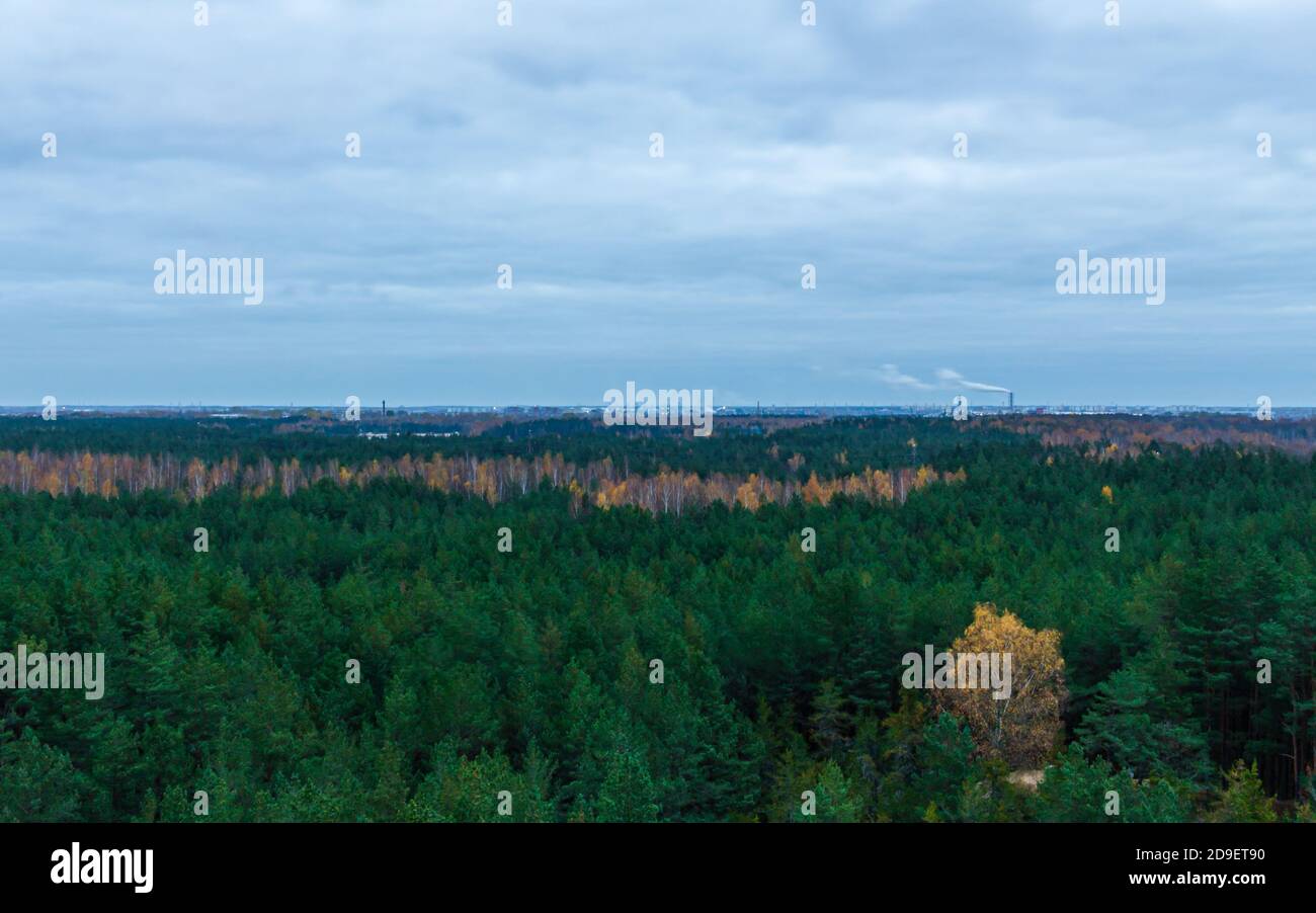 Herbstfarben Waldbäume vom Aussichtsturm. Grüne weiche Bäume, bunte Birkenblätter, atemberaubendes Naturpanorama, Turmrauch, der sich im Wind bewegt Stockfoto