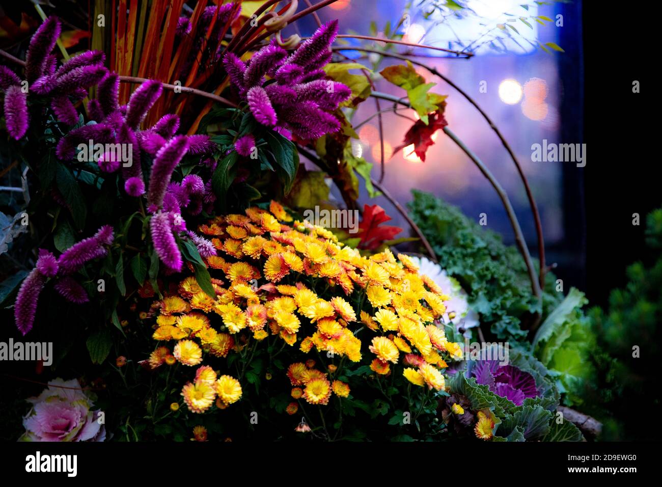 Blumenstillleben in der Nacht mit lebendigen Farben und Bokeh Leuchtet Stockfoto