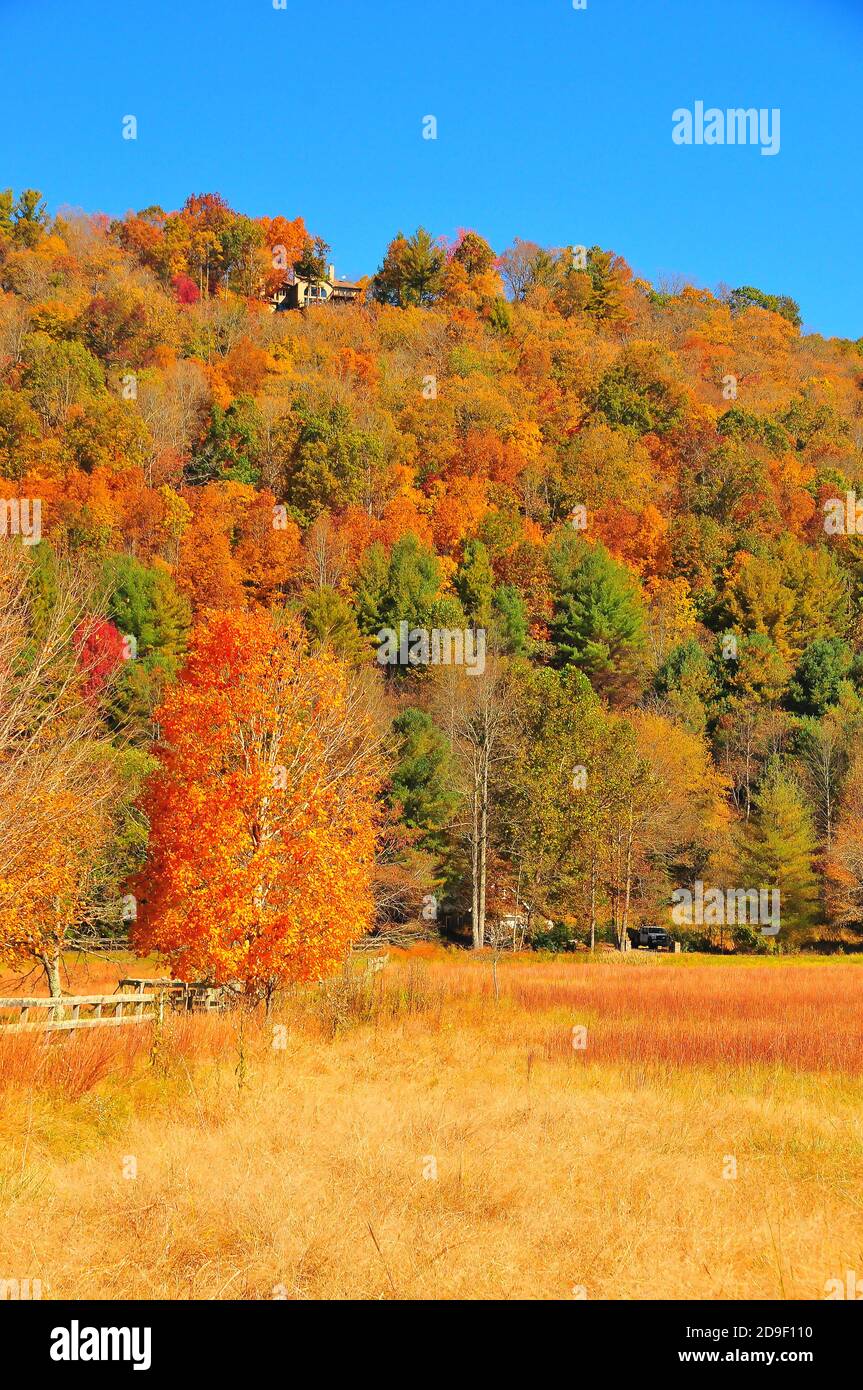 Es ist leicht, sich in die wunderschönen Herbstfarben und die Landschaft des wunderschönen Watauga River Valley & Appalachian Mountains in North Carolina zu verlieben. Stockfoto