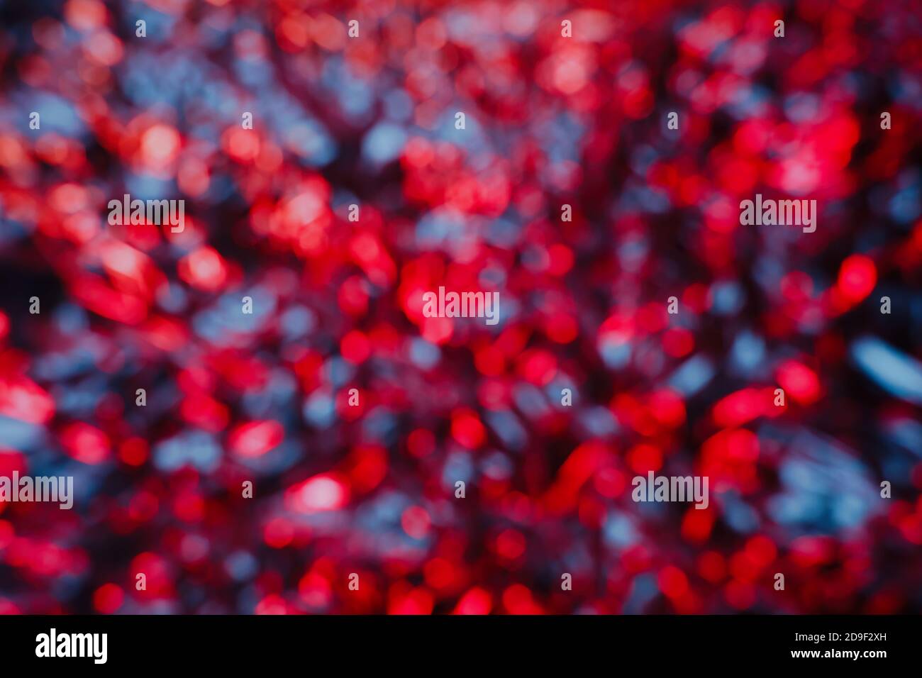 Bunte rote und blaue weihnachtslichter abstrakter Hintergrund, Neujahr Bokeh Stockfoto