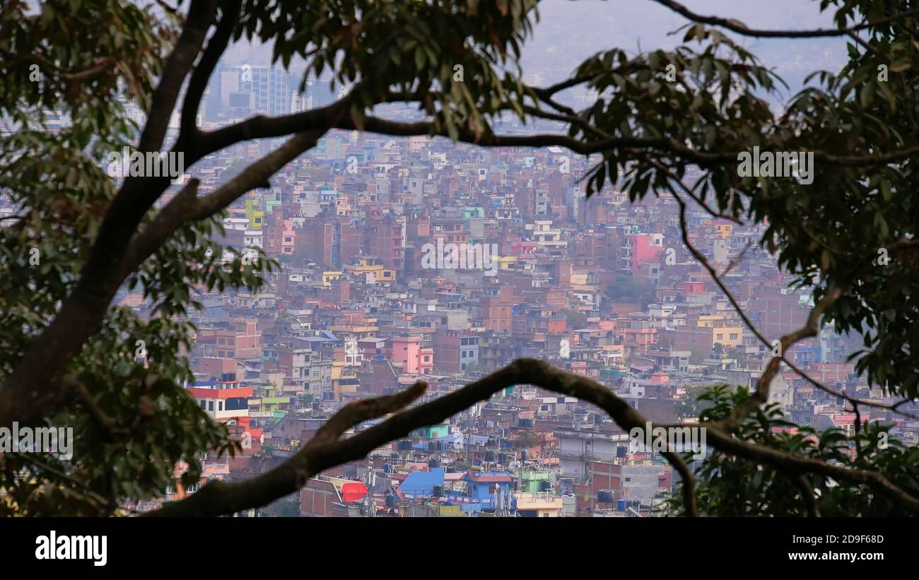 Blick auf die dicht besiedelte Innenstadt von Kathmandu, Nepal mit bunten Gebäuden durch die Äste von Baum von der Spitze des Tempelkomplexes Swayambhunath. Stockfoto