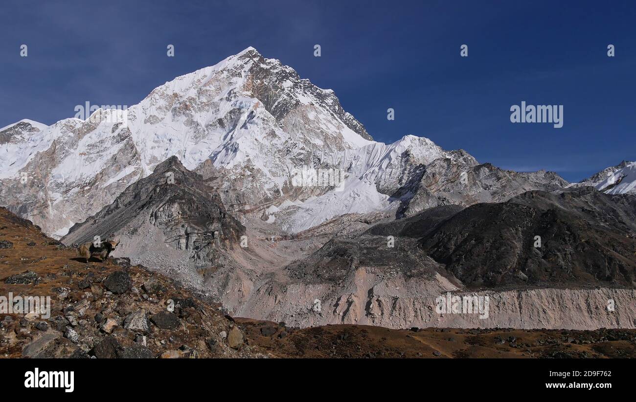 Süßes einsames Yak mit zotteligem Fell, das an einem felsigen Hang steht und in der Nähe des mächtigen Khumbu-Gletschers mit majestätischem Berg Nuptse im Hintergrund auf die Kamera schaut. Stockfoto