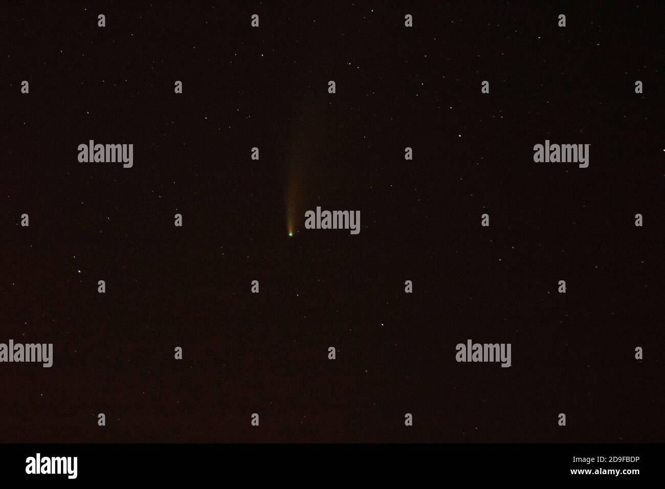 Komet Neowise am Himmel Stockfoto