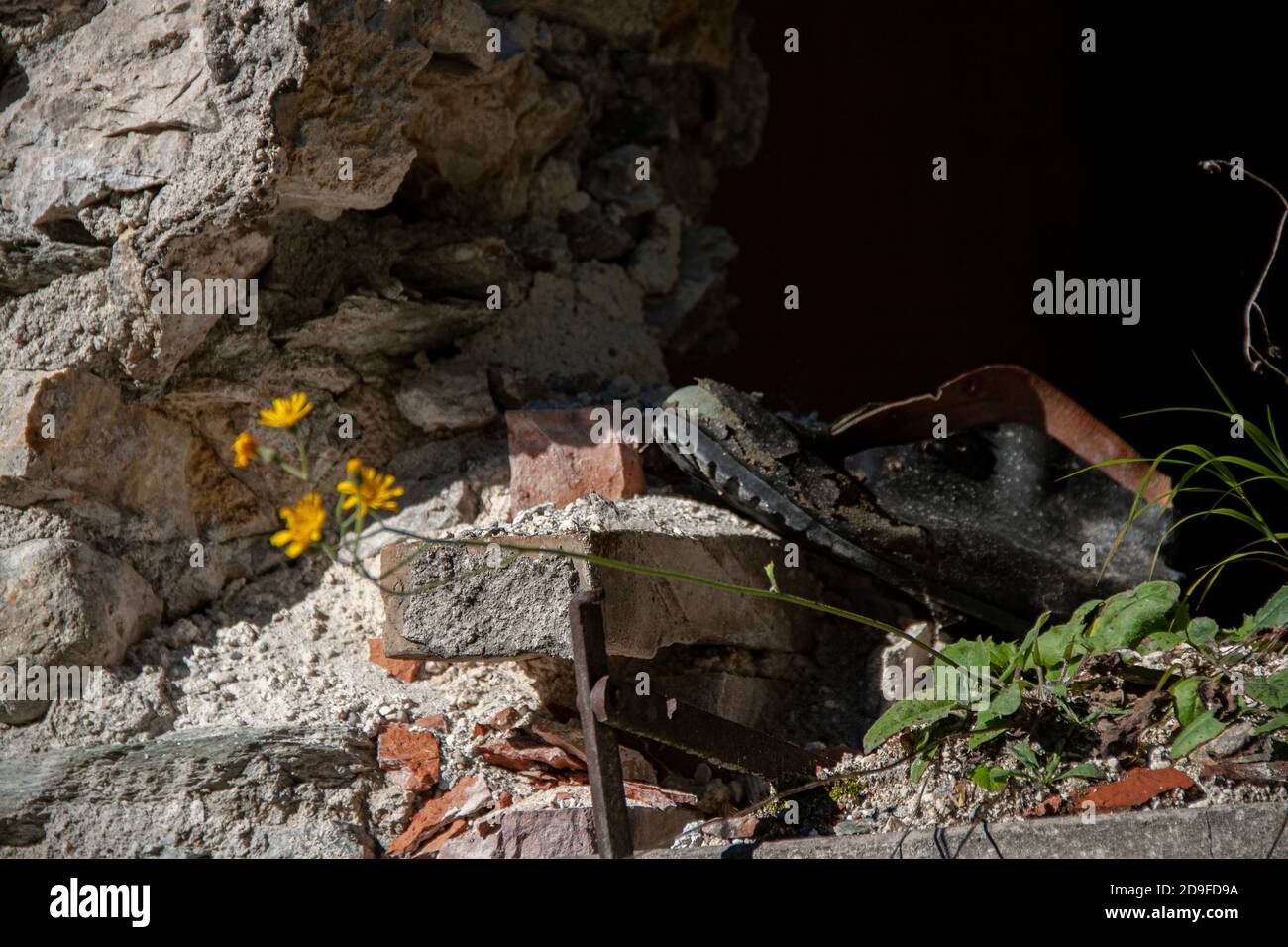 Alte Schuhe im Wald in den Dolomiten in verlassen Italien Stockfoto