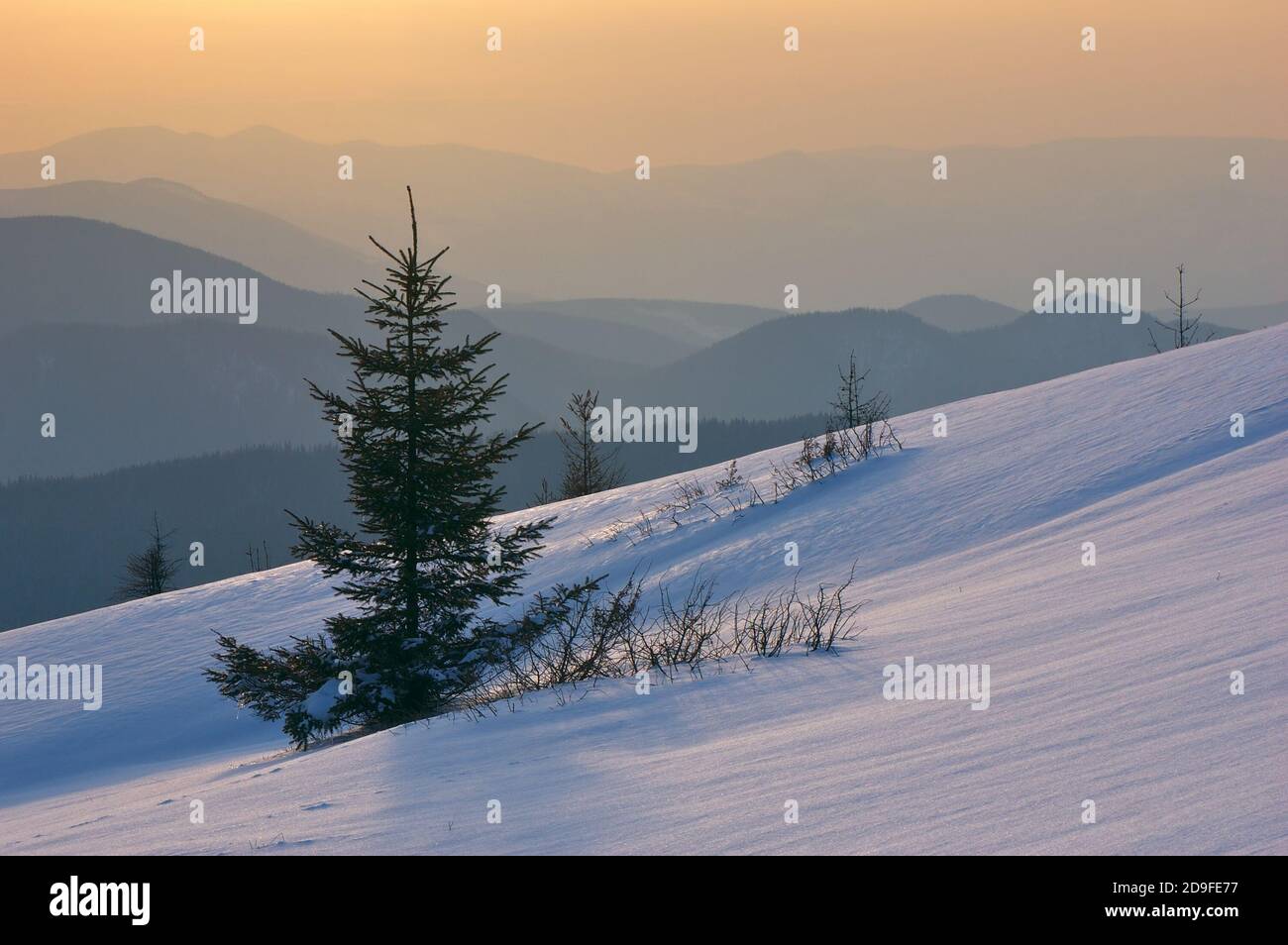 Winterlandschaft bei Sonnenuntergang. Berge Karpaten, Ukraine Stockfoto
