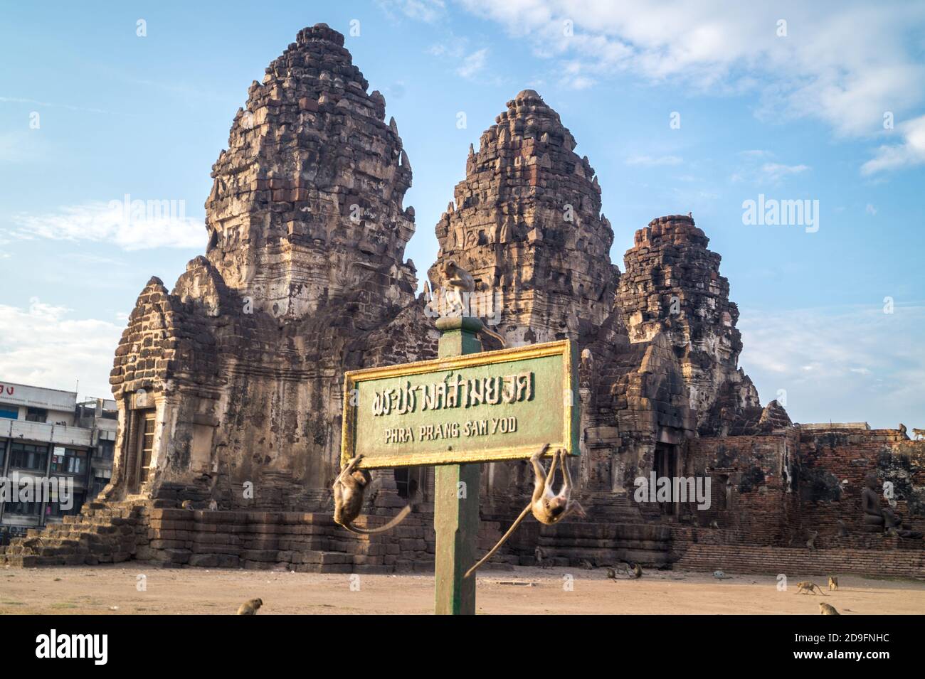 lopburi Tempel in thailand mit Affen Stockfoto