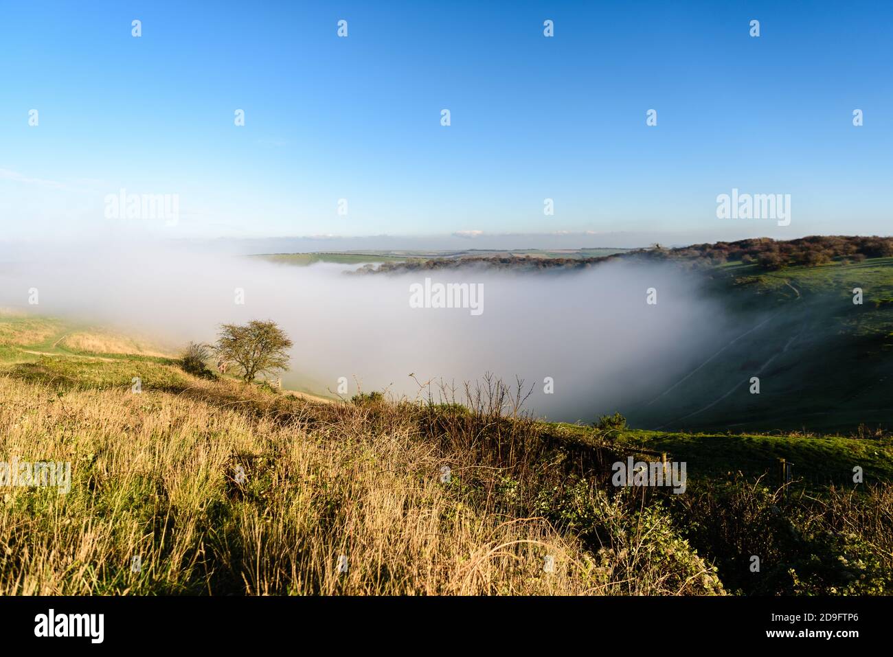 Devils Dyke, Brighton, East Sussex, Großbritannien. November 2020. Ungewöhnliche tief liegende Wolke füllt das Tal auf den South Downs. Foto: Julia Claxton/Alamy Live News Stockfoto