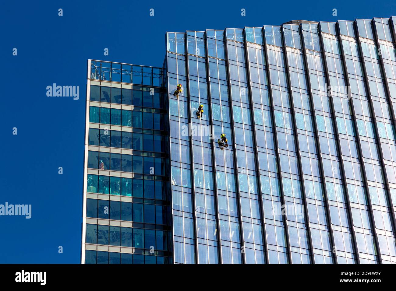 Fensterputzer, die sich von einem modernen Glashochhaus abseilen und Fenster putzen, Warschau, Polen Stockfoto