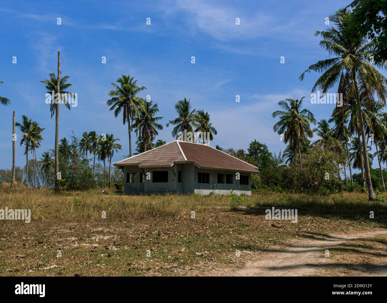 Übersätes Haus im Bau inmitten von Palmen, trockener Ort Stockfoto