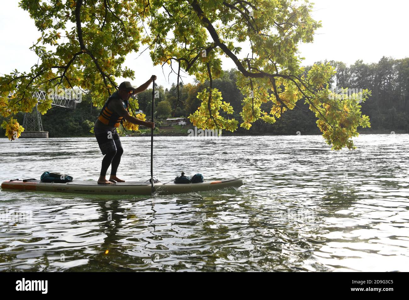 Mann paddeln auf einem SUP den Rhein hinunter in der Schweiz Stockfoto