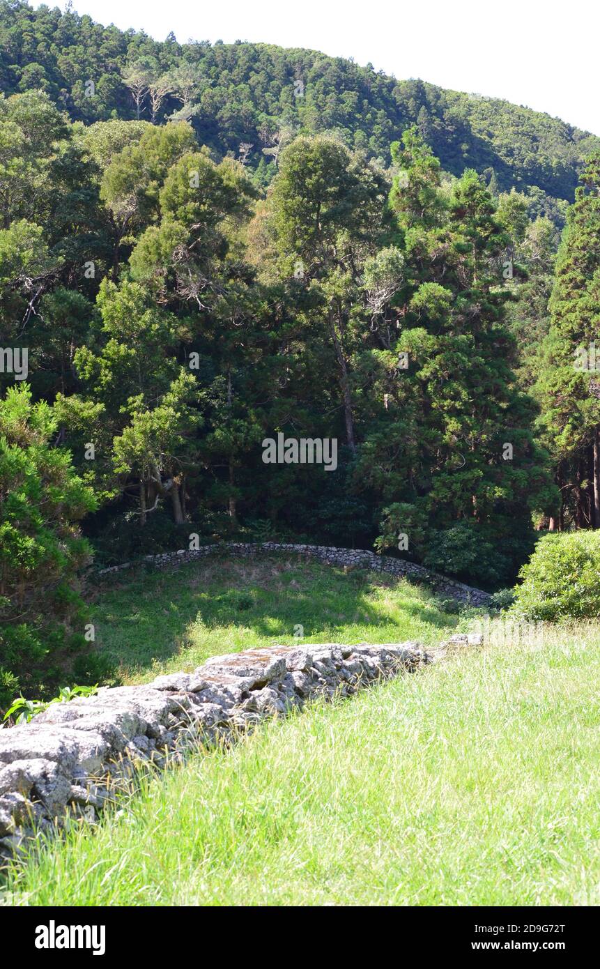 Wälder in der vulkanischen caldeira der Insel Graciosa, Azoren Archipel, Portugal Stockfoto