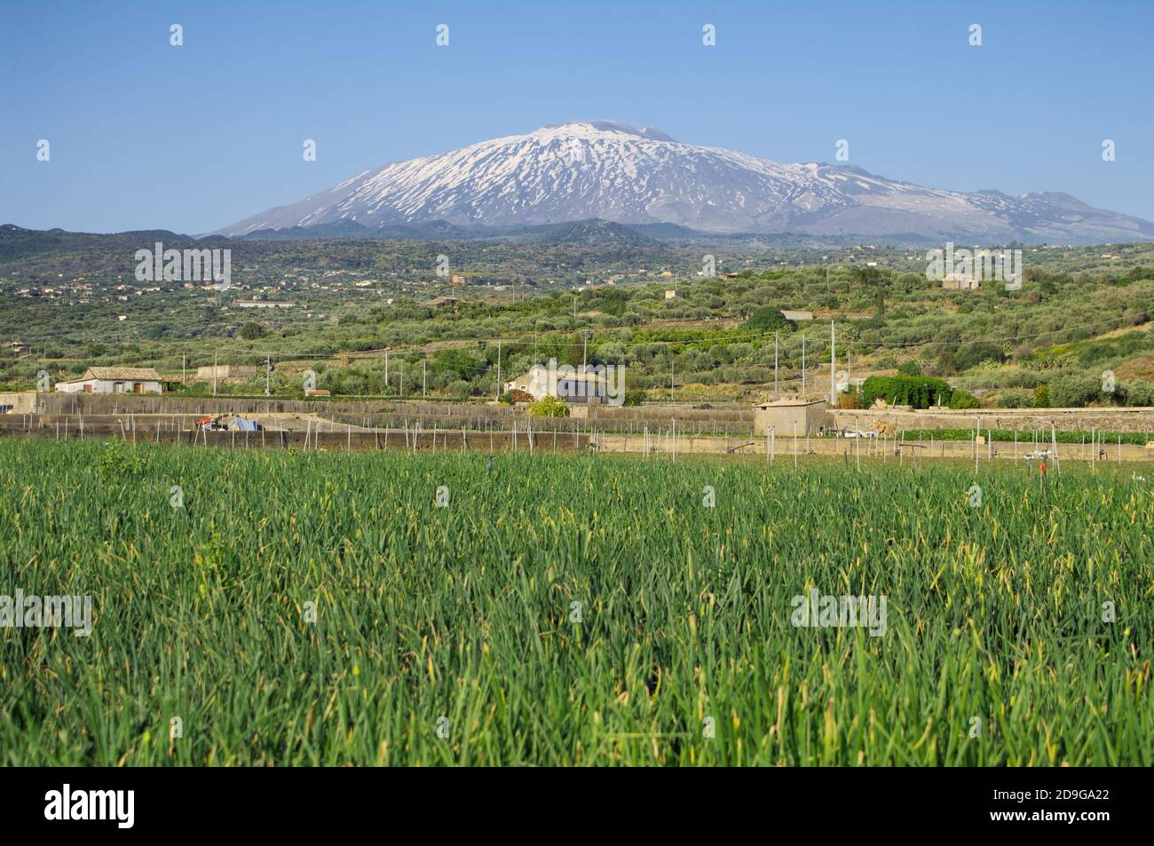 Ackerland rund um den Vulkan Ätna ländliche Ansicht der Landwirtschaft Siziliens Stockfoto