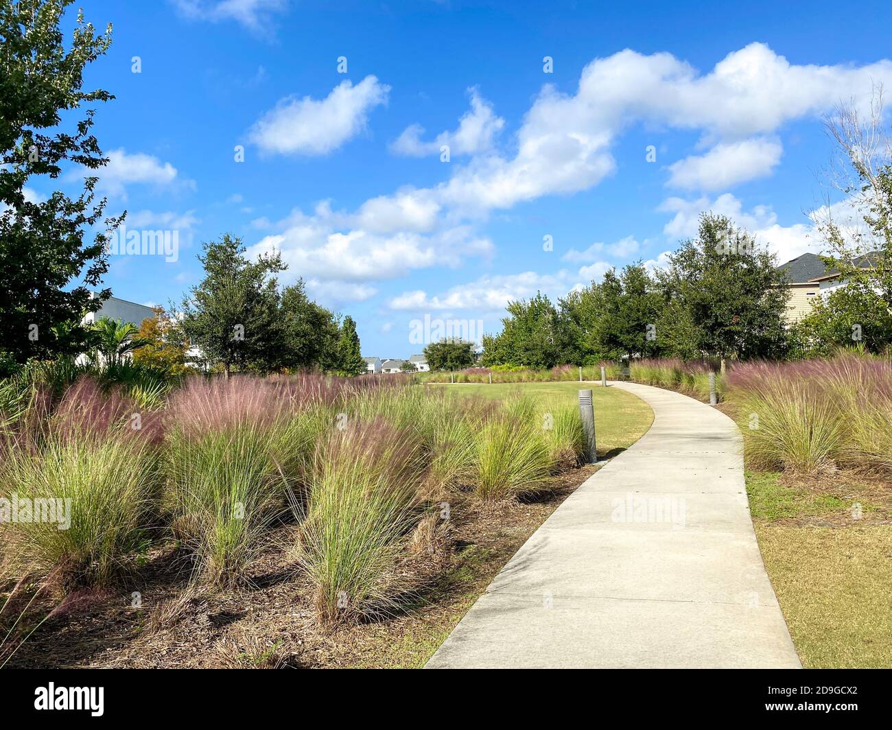 Ein wunderschön angelegter Gehweg in einer Nachbarschaft, gesäumt von Bäumen, Gras und Pampagras. Stockfoto