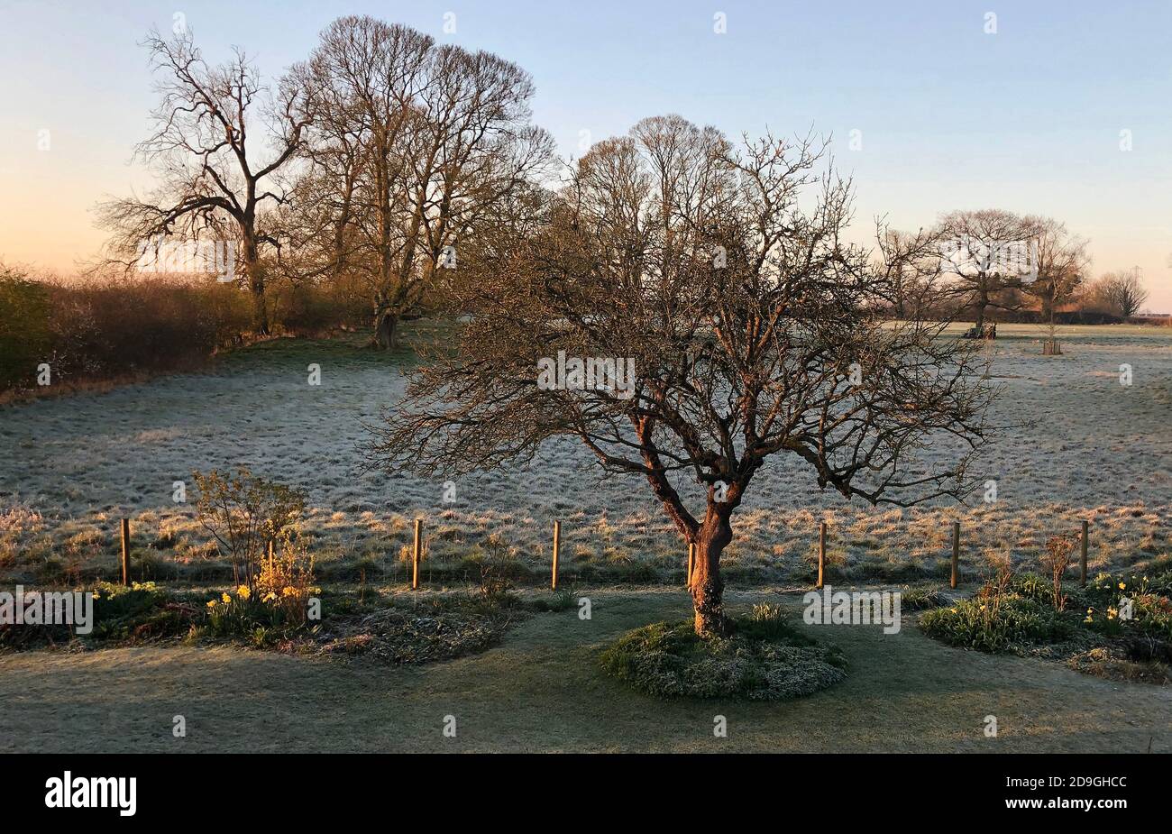 Apple Winston an der ersten Ampel Stockfoto