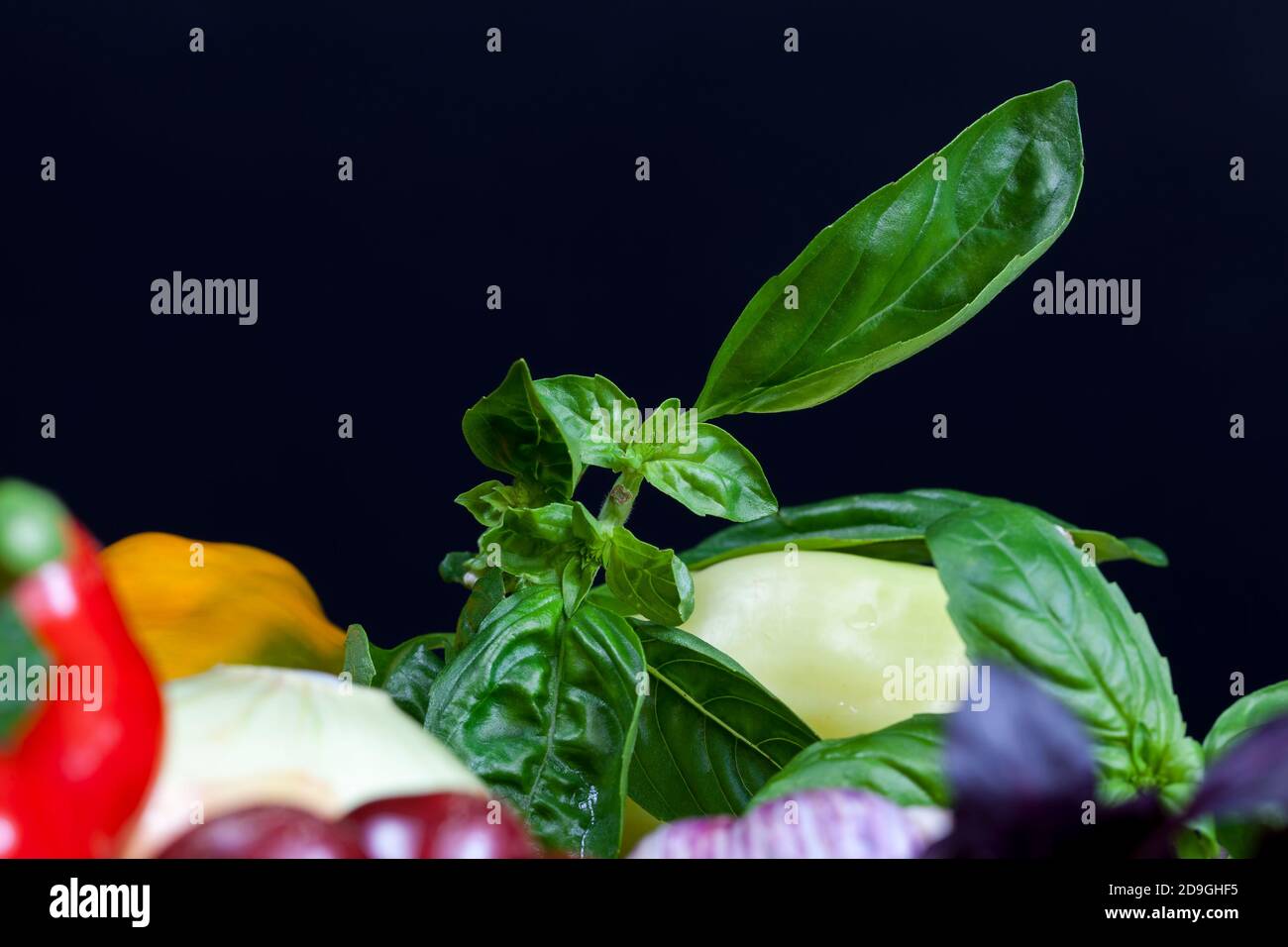 Ungewaschene schmutzige Gemüse in der Küche Stockfoto